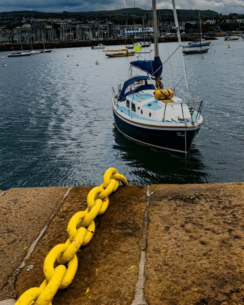 steptodown.com112415 (1) steptodown.com112415 (1)