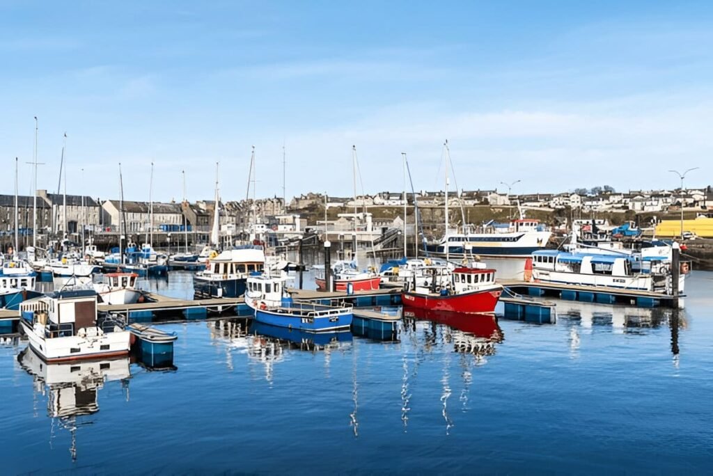 steptodown.com610168 (1) steptodown.com610168 (1)