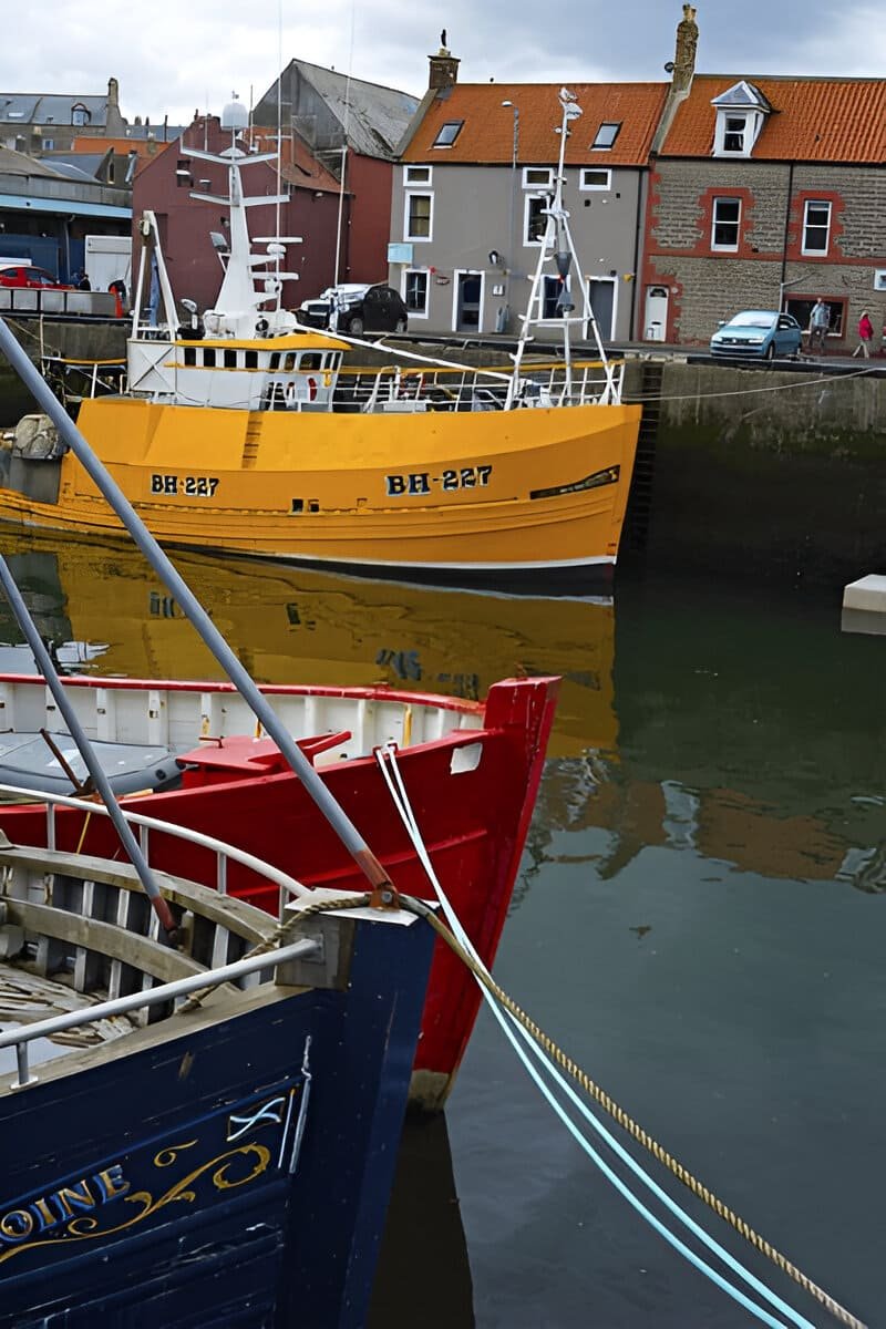 steptodown.com746580 (1)